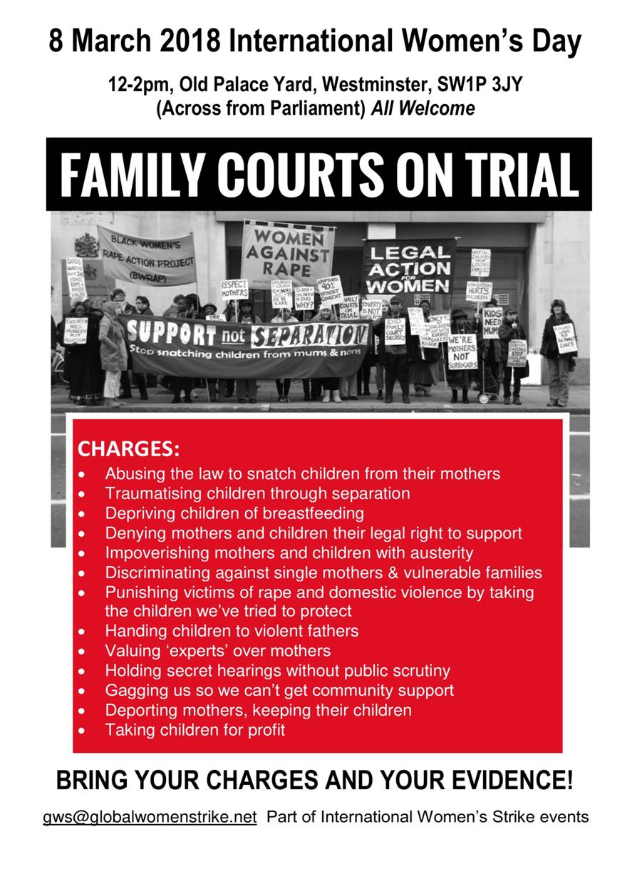 Family Courts on Trial jpeg