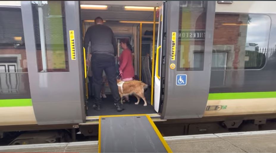 A woman with her guide dog is inside a train carriage stopped at the platform.  A 
station staff man is guiding her to find a seat.  The disability carriage doors are open and the ramp is down.